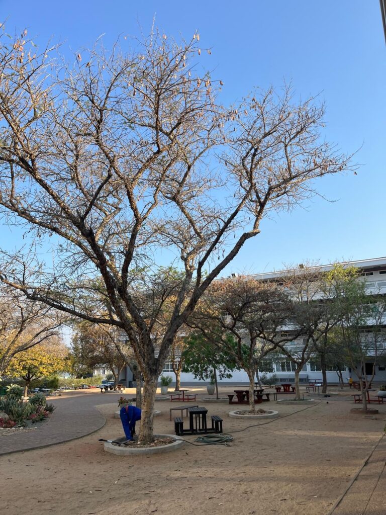 Schüleraustausch nach Namibia – eine unvergessliche Erfahrung 2 aa997bbf 701d 4c23 b862 faeb38bfb5dc