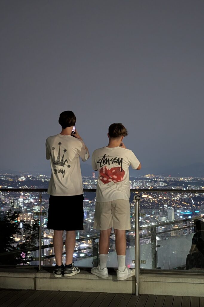5 Seoul N Tower by night